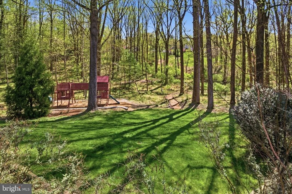 Photo of 9703 MILL RACE ESTATES DRIVE