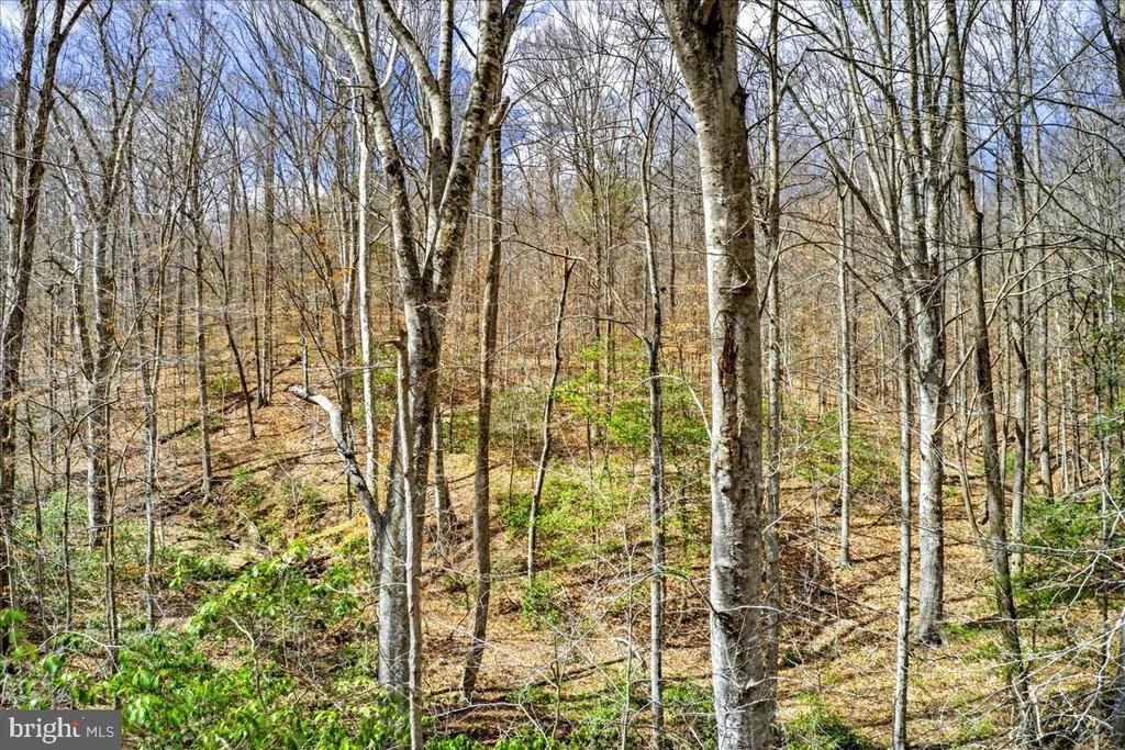 Photo of 18 CHICKASAW PLACE
