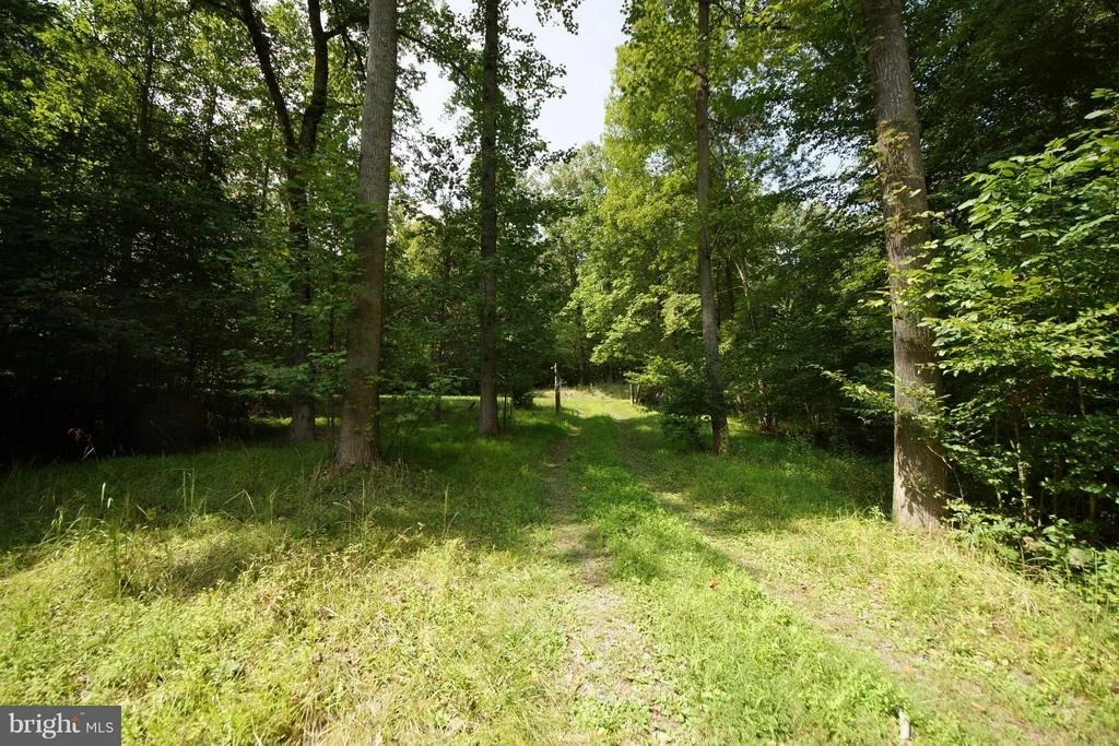 Photo of 251 HAWK CIRCLE
