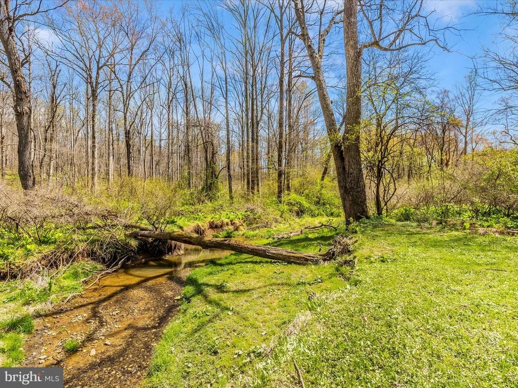 Photo of 111 BACHMANS VALLEY ROAD