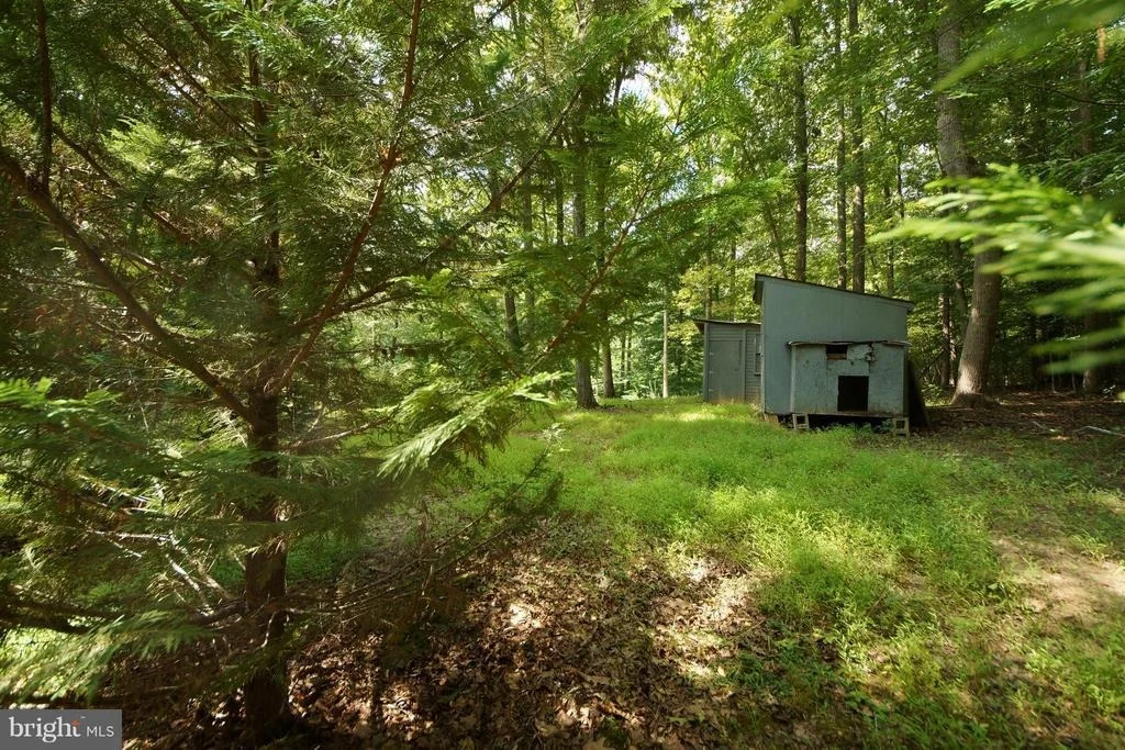 Photo of 251 HAWK CIRCLE