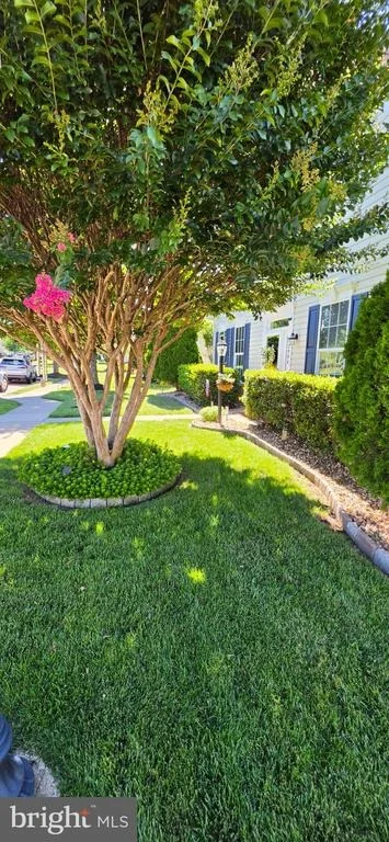 Photo of 12904 FETLAR WAY