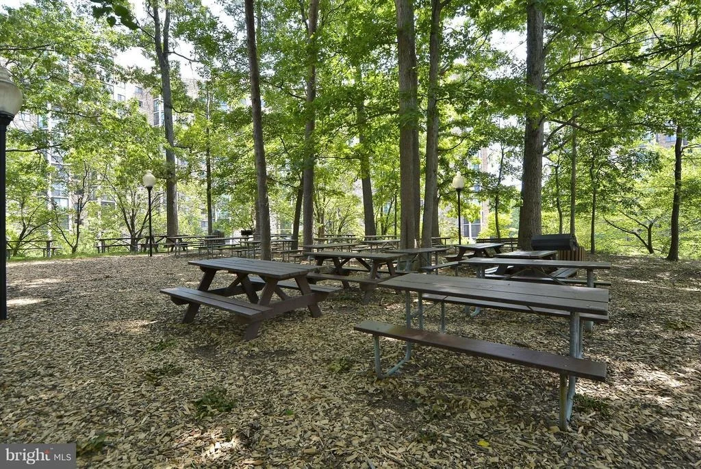 Photo of Unit 201 at 5902 MOUNT EAGLE DRIVE
