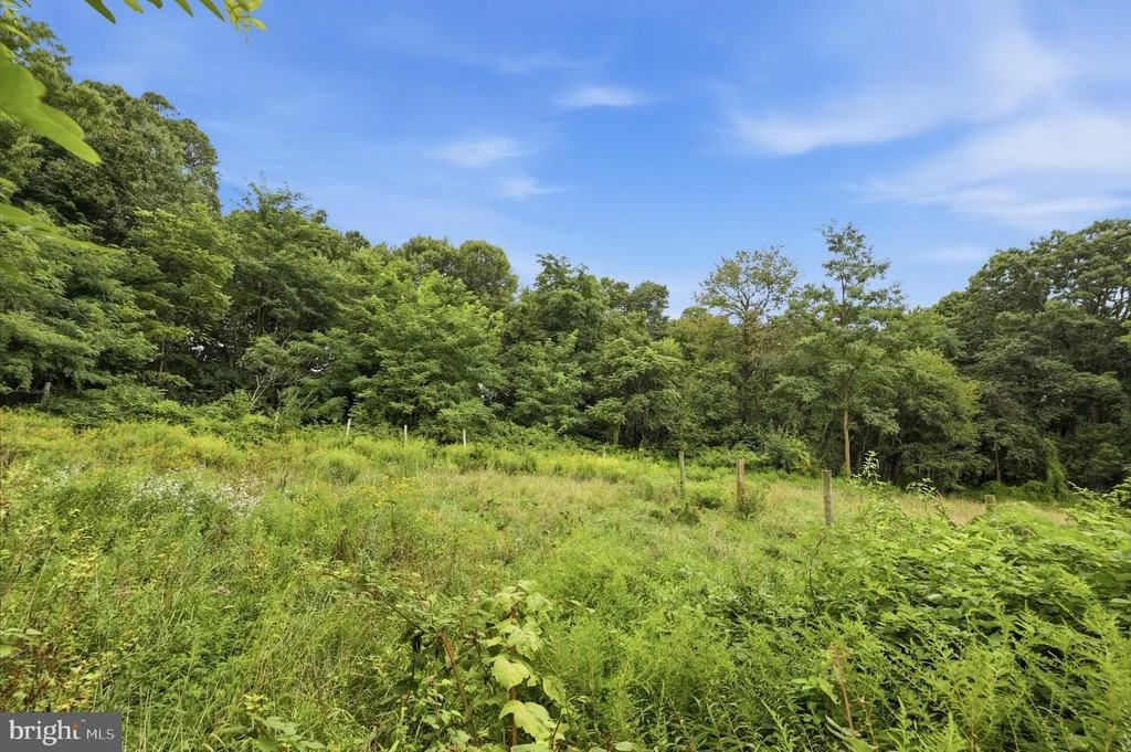 Photo of 14417 RIDENOUR ROAD