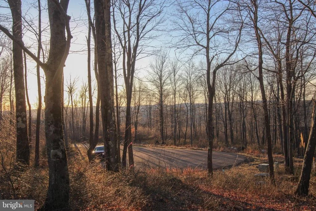 Photo of Lot 8 FOX RUN DR