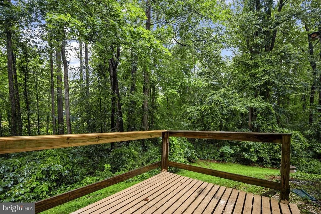Photo of 11039 TIMBERVIEW DRIVE