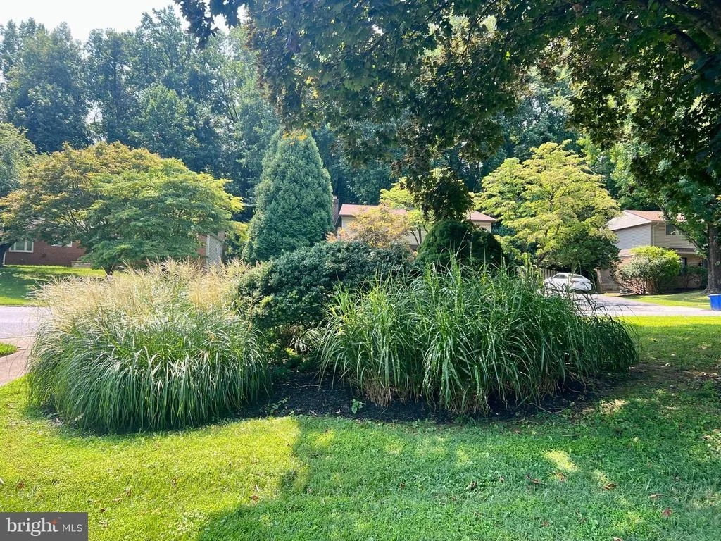 Photo of 2400 SUGARCONE ROAD