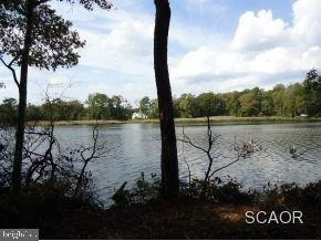 Photo of 41 WOODS RUN CIRCLE