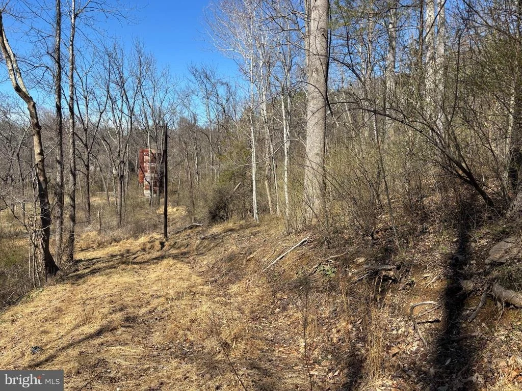 Photo of CARTERS RUN