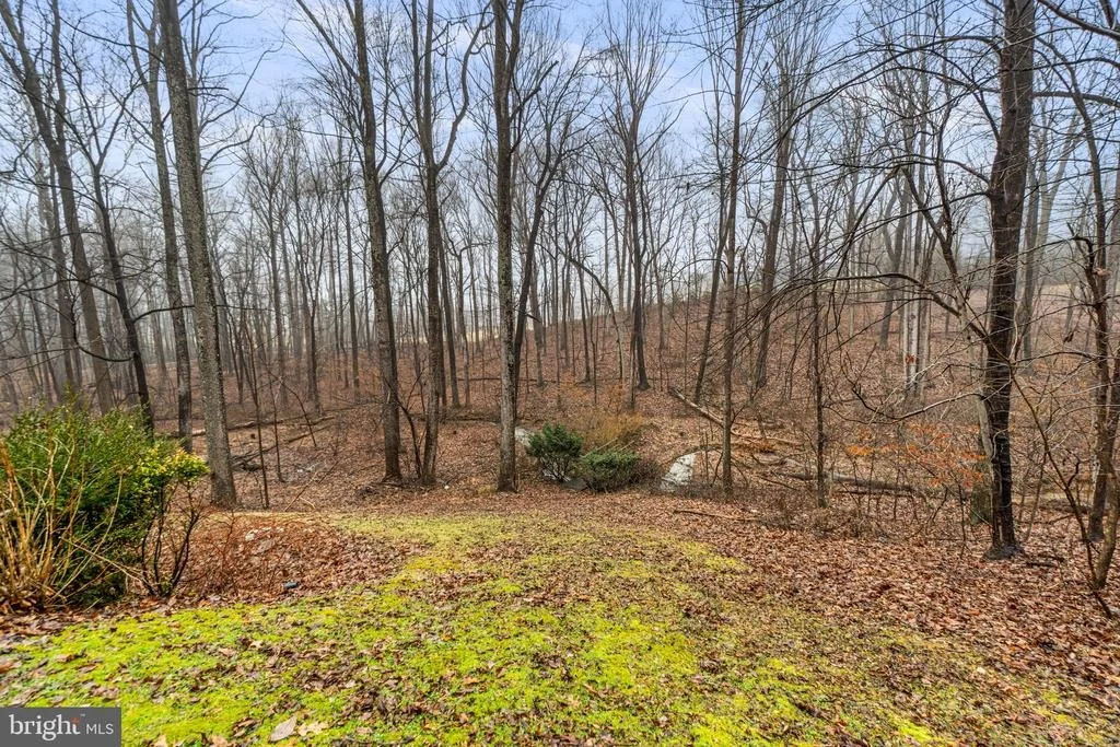 Photo of 4525 ROOP ROAD