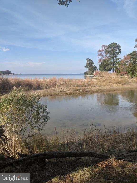 Photo of 50810 HOLLY POINT