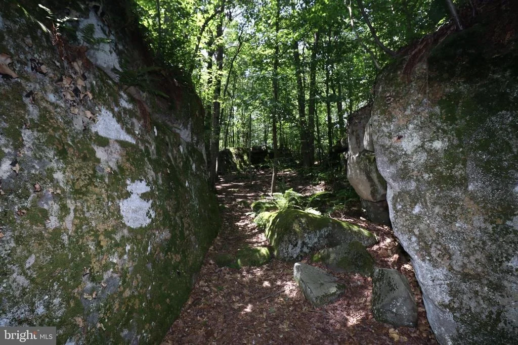 Photo of 84 MOUNTAINTOP ROAD