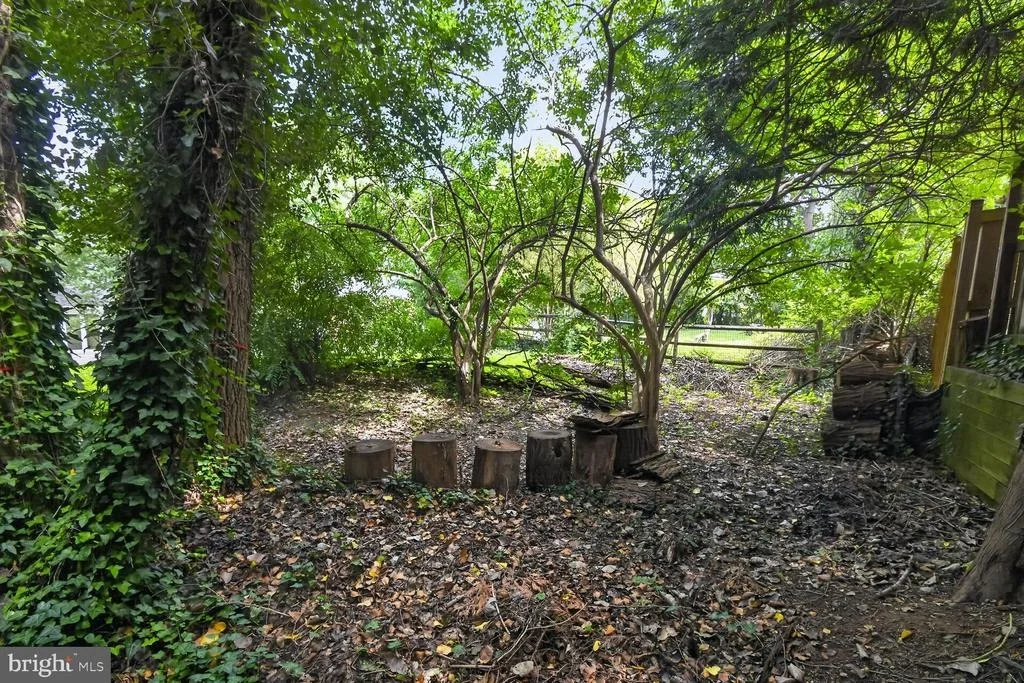 Photo of 8511 FREYMAN DRIVE