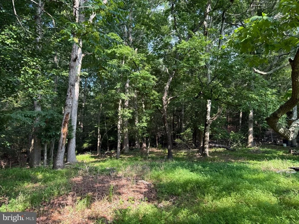 Photo of 12516 OLIVET ROAD
