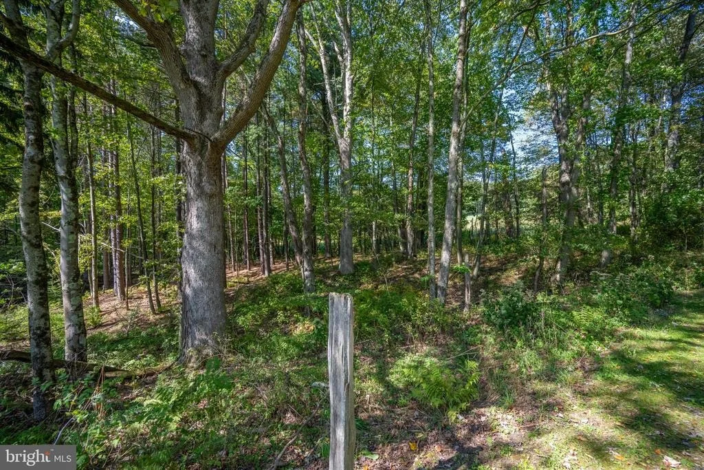 Photo of 3348 & 3360 COVE ROAD