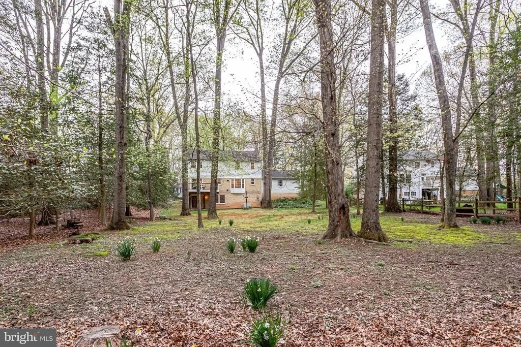 Photo of 11605 CLIPSTONE LANE