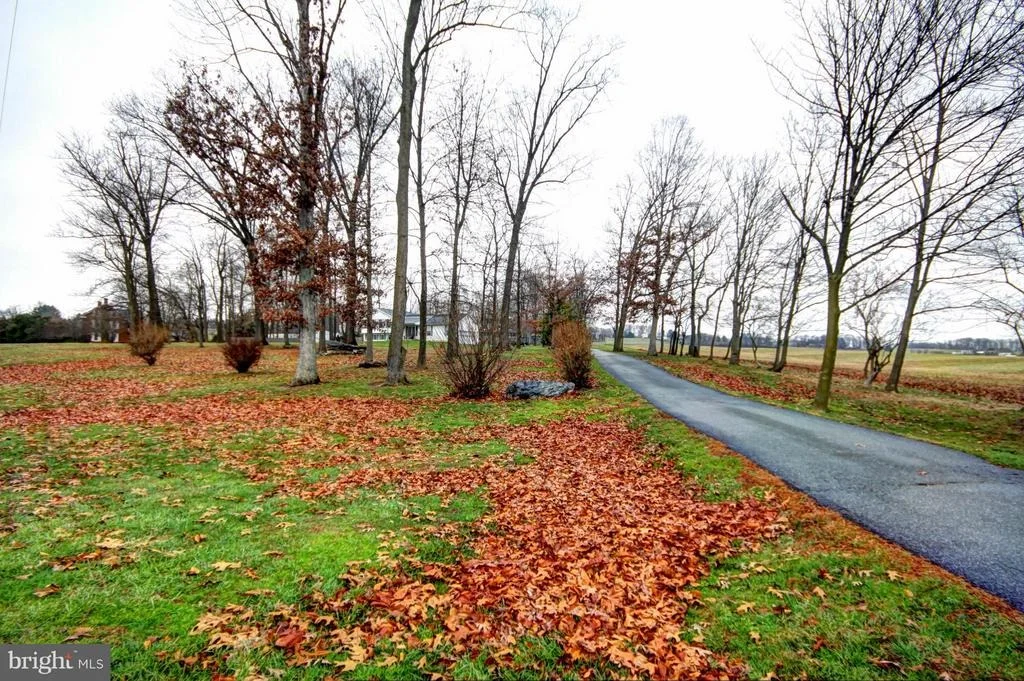 Photo of 3900 BARK HILL ROAD