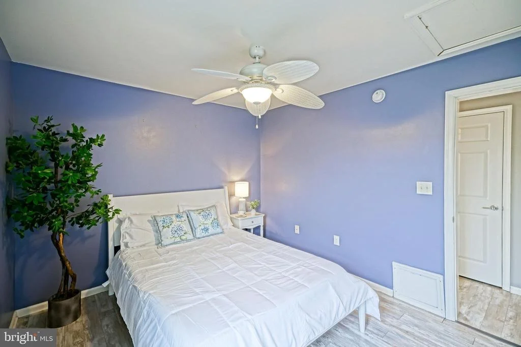 Photo of 113 CEDAR STREET
