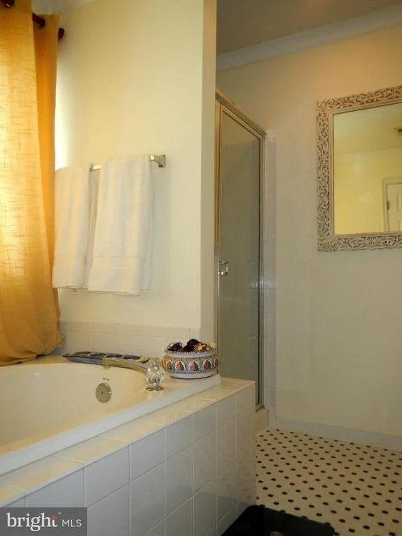 Photo of 1843 DISNEY ESTATES CIRCLE