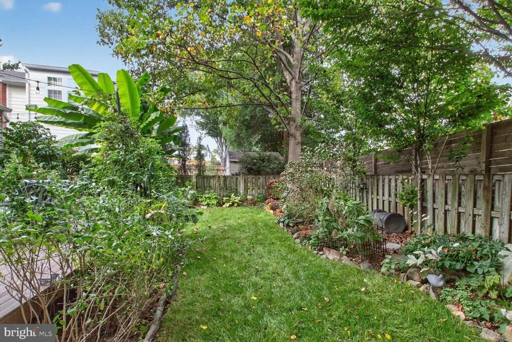 Photo of 203 BADEN STREET