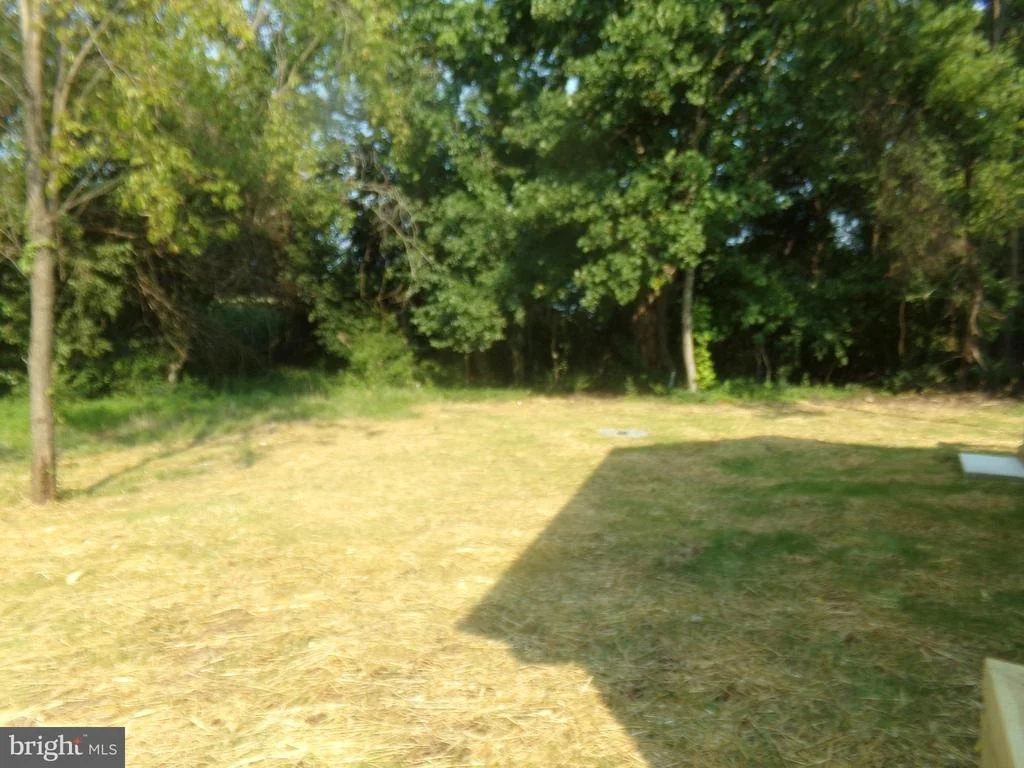 Photo of 11035 BOTTOM RD