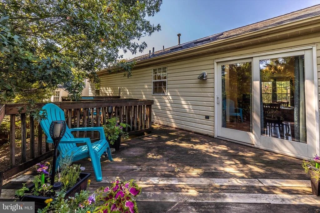 Photo of 1001 CHINABERRY DRIVE