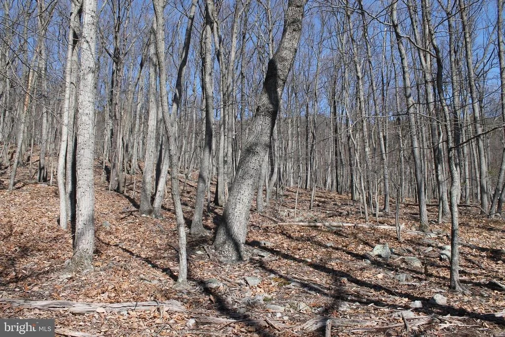 Photo of 288 FOX RUN LANE