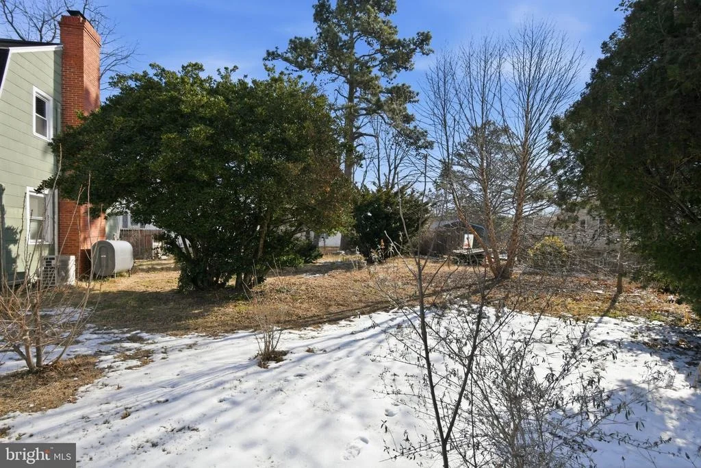 Photo of 113 PRISCILLA STREET