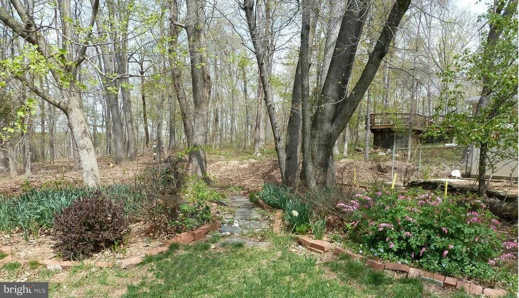 Photo of 4200 MOUNT OLNEY LANE