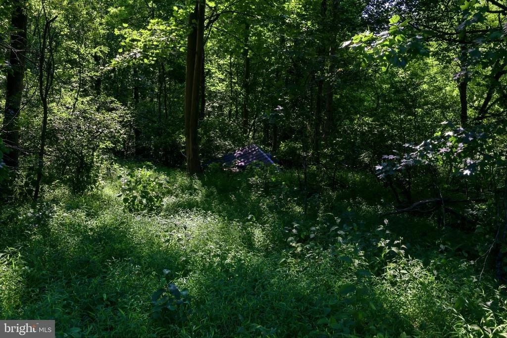 Photo of 13729 MARTIN ROAD