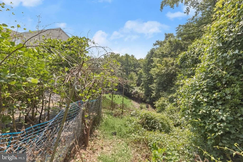 Photo of 6354 FOREST AVENUE