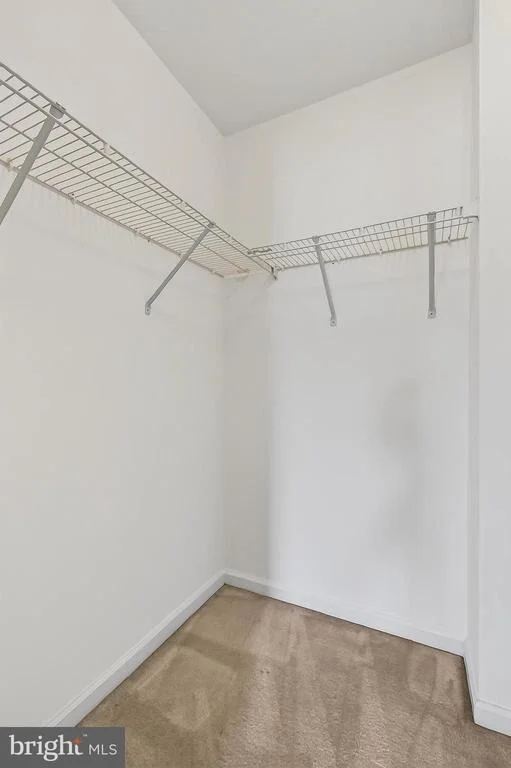 Photo of 25825 SPRING FARM CIRCLE