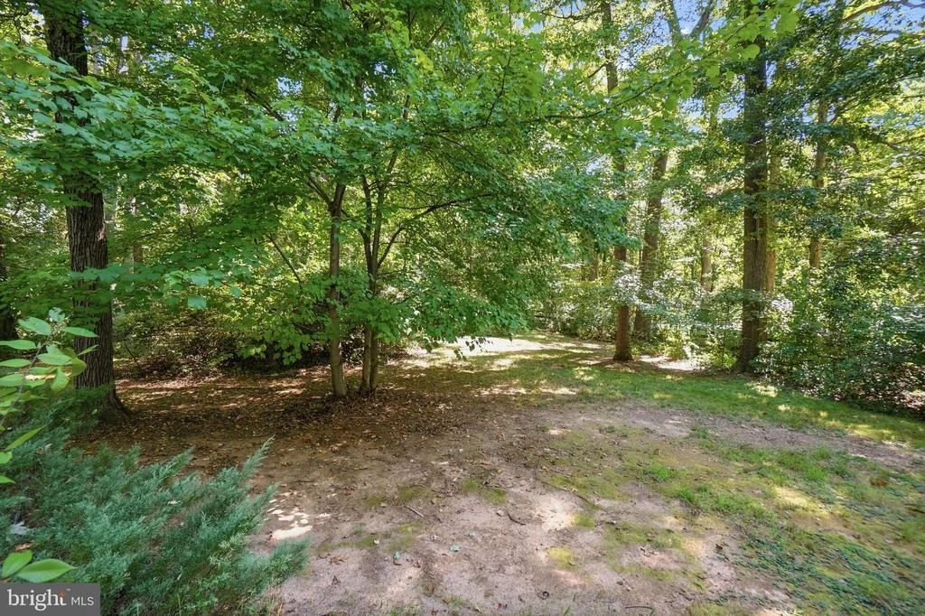 Photo of 17517 SKYLINE DRIVE