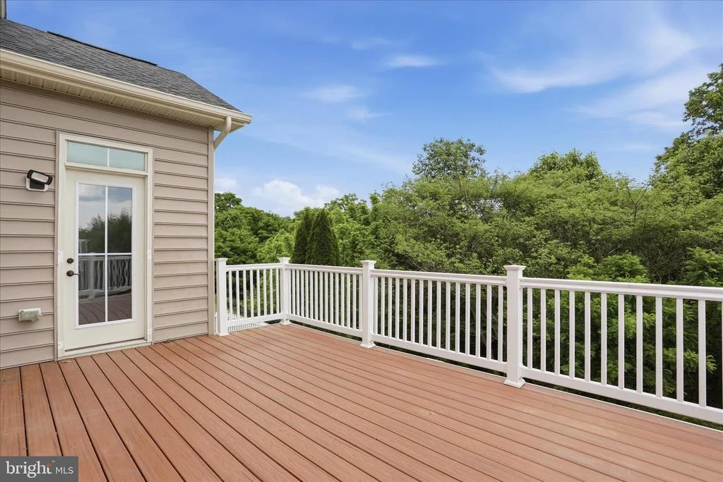 Photo of 1304 MOORE SPRING COURT