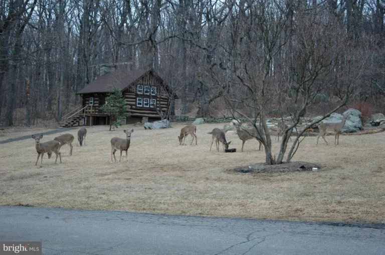 Photo of 276 JOURNEYS END