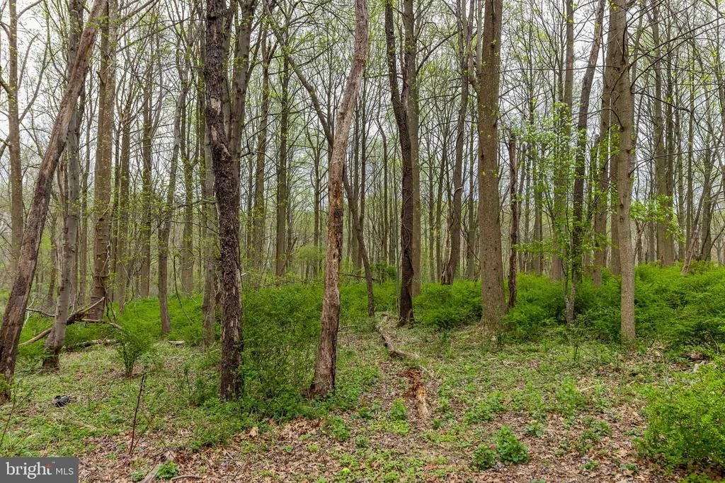 Photo of 16921 OLDE MILL RUN