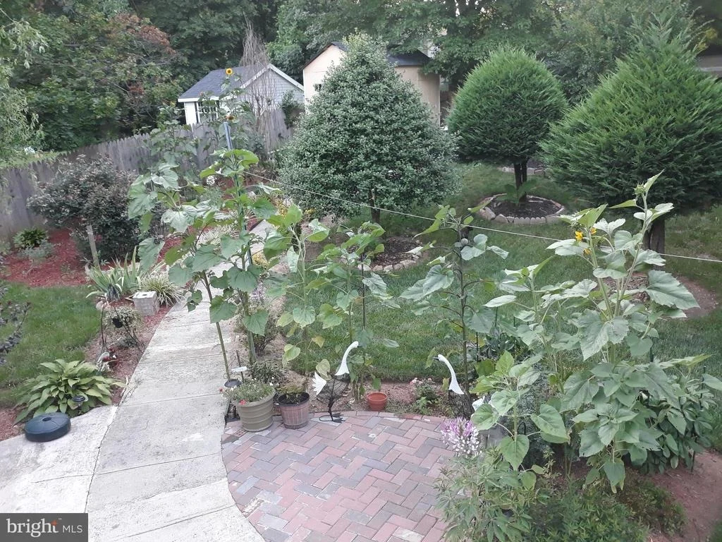 Photo of 1320 RAINBOW DRIVE