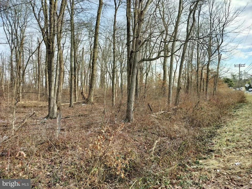 Photo of 147 ROCKTOWN ROAD