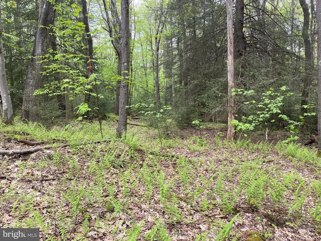 Photo of Lot 3 DEER RUN ROAD