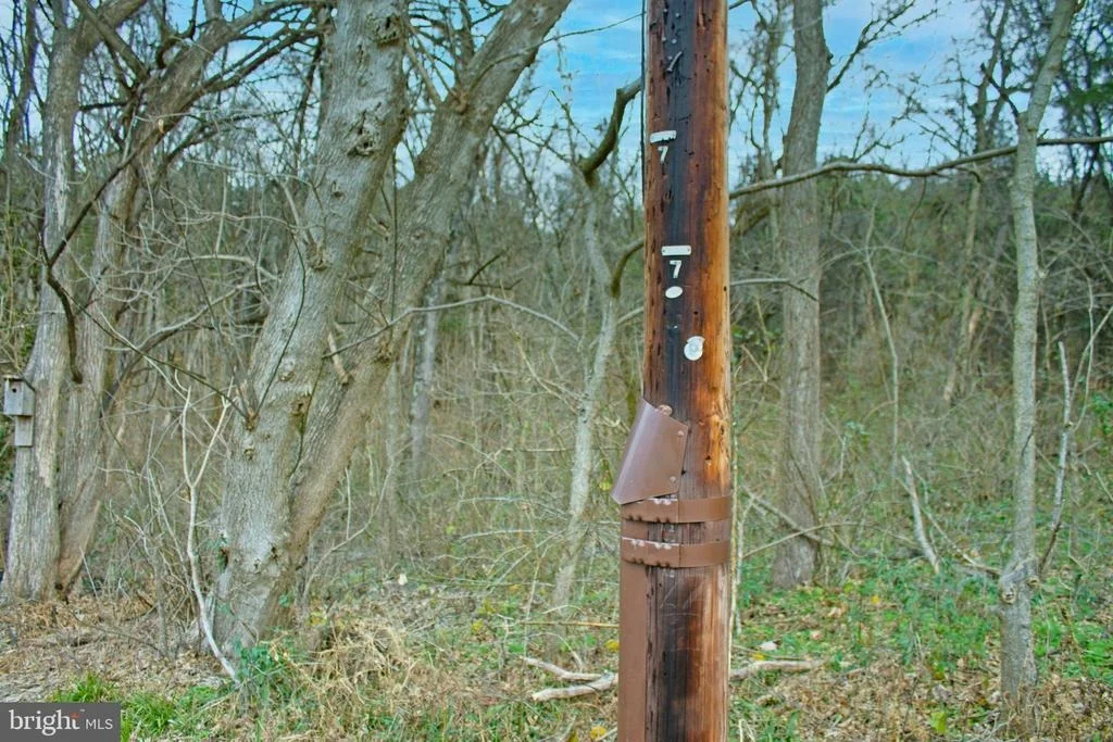 Photo of 8103 AVIS MILL ROAD