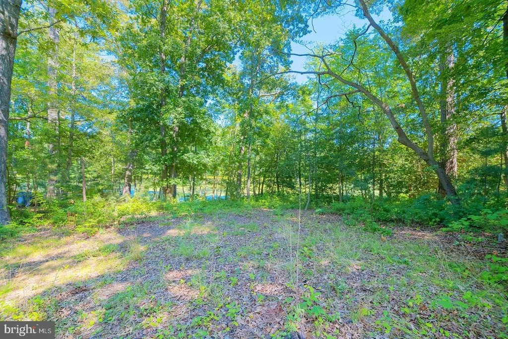 Photo of 142 W SHORE DRIVE