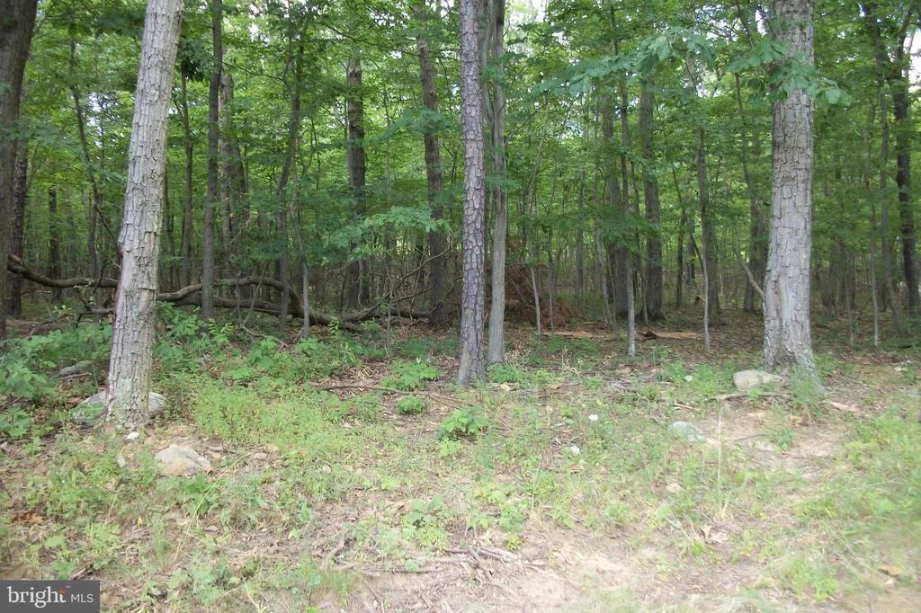Photo of 401 BLUEBIRD TRL