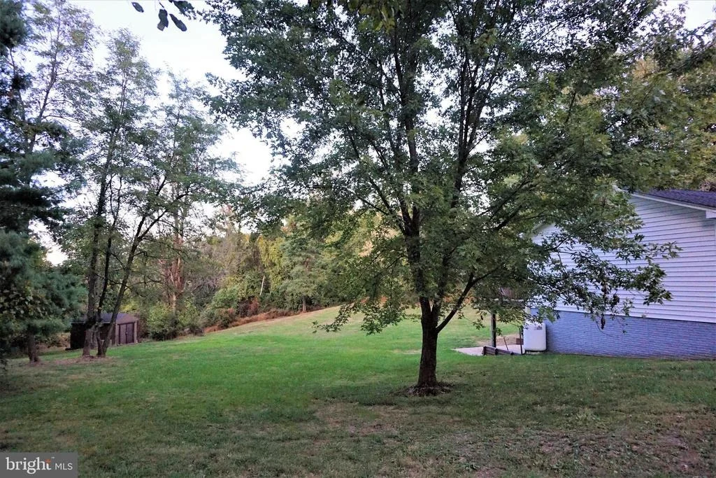 Photo of 50 REMOUNT VIEW ROAD
