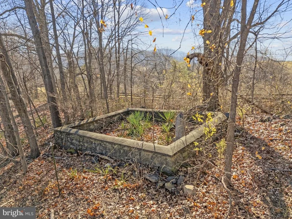 Photo of 11066 MORELAND ROAD