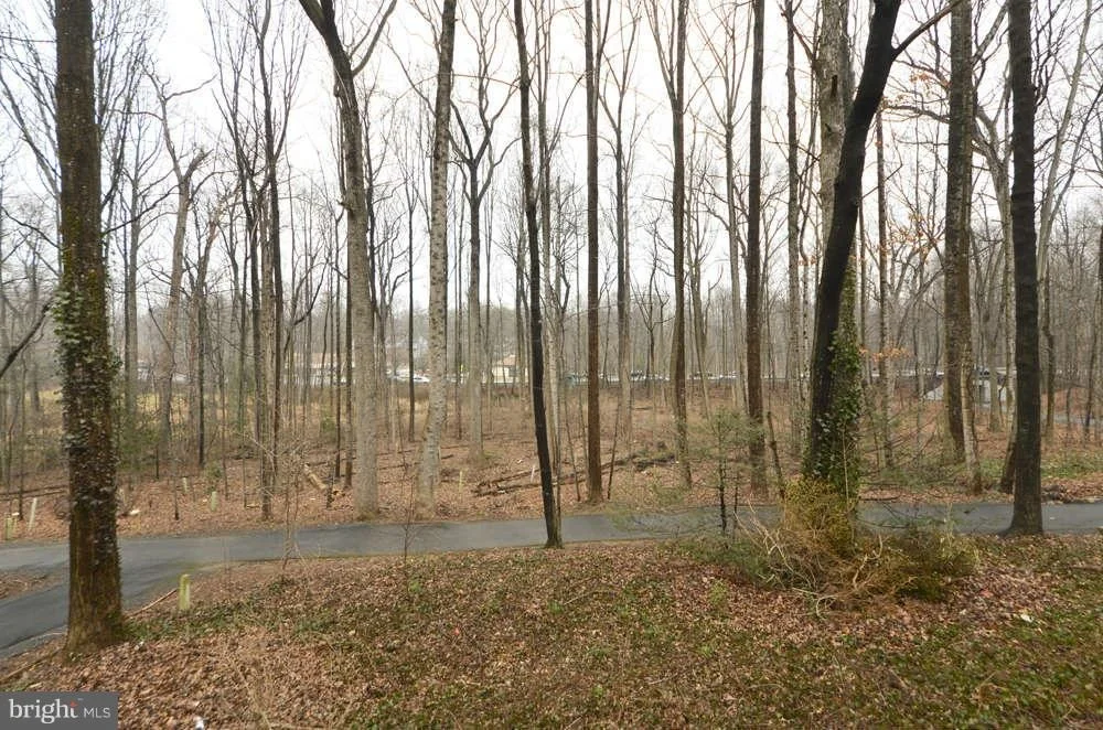Photo of 2337 OLD TRAIL DRIVE