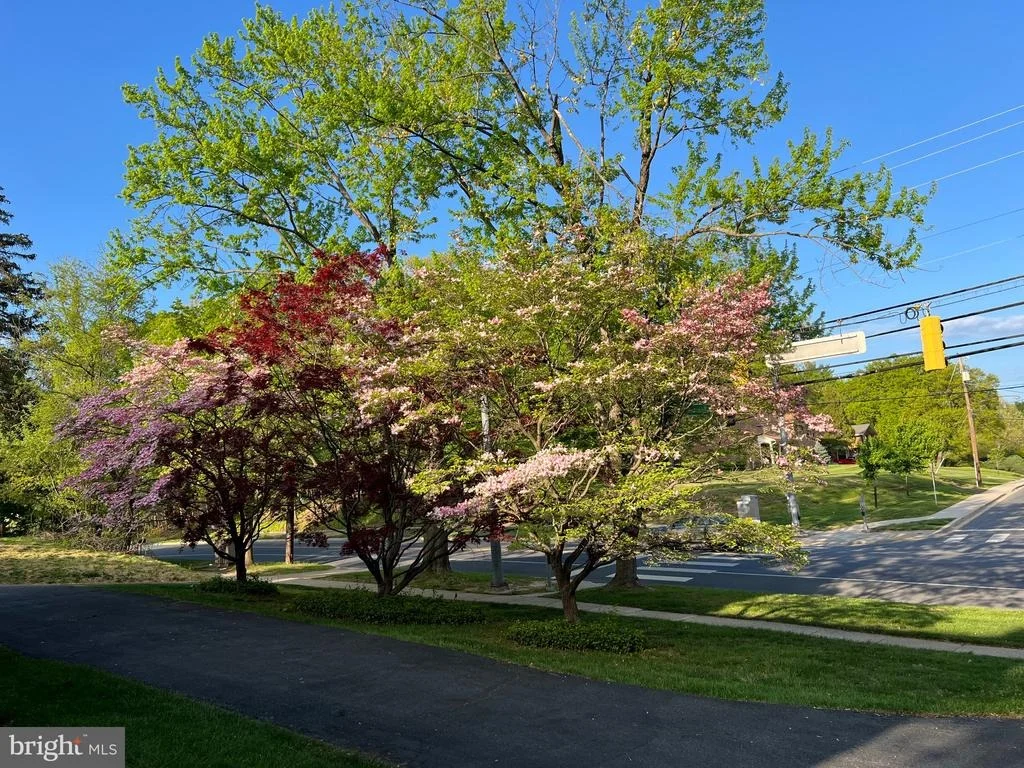 Photo of 11816 KEMP MILL ROAD