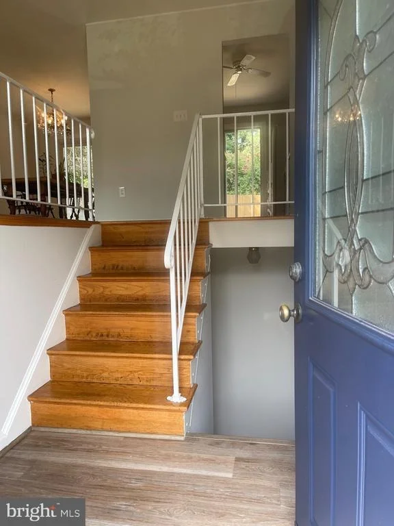 Photo of 2407 HAYDEN DRIVE