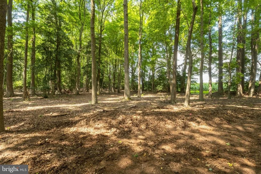Photo of 19268 DEERFIELD ROAD