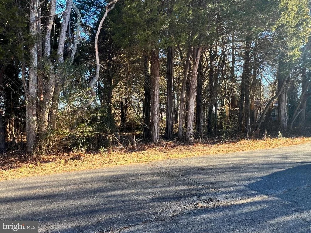 Photo of BAY DR