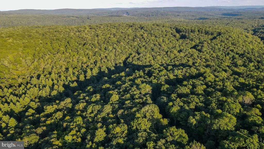 Photo of Lot 8 STOOL ROCK ROAD